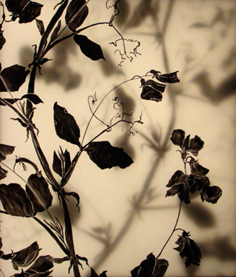 Garden Spring at DBA Gallery