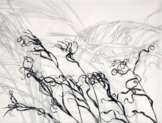 Grasses #3