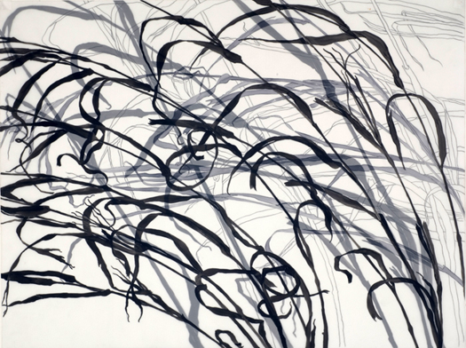 Grasses #4